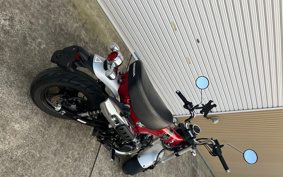 HONDA  DUX 125 JB04