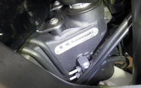 KAWASAKI NINJA 1000SX 2021 ZXT02K