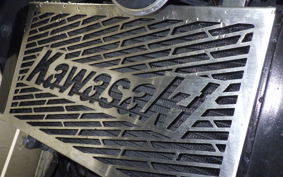 KAWASAKI Z250 ER250C