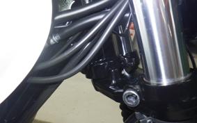 KAWASAKI W230 2023 BJ230A