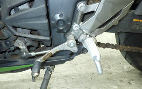 KAWASAKI NINJA 250 ABS EX250L