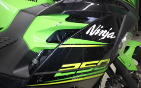 KAWASAKI NINJA 250 EX250P