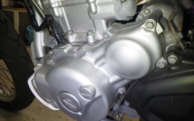 YAMAHA WR250R 2022 DG15J