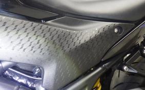 YAMAHA YZF R-3 2019 RH13J