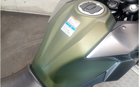 KAWASAKI VERSYS-X 250 LE250D