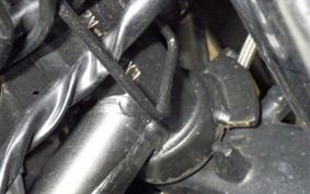 KAWASAKI NINJA 250 EX250L