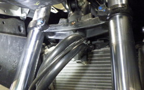 HONDA CBR250R A 2024 MC41