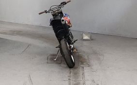 YAMAHA WR250X DG15J