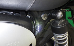 TRIUMPH SCRAMBLER 900 2025