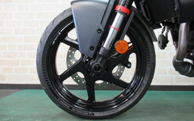 HUSQVARNA SVARTPILEN4 2024
