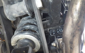 KAWASAKI NINJA 250 EX250L