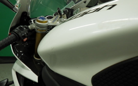 TRIUMPH DAYTONA 675 R 2015