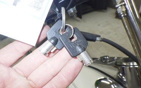HARLEY FLSTF 1450 2000