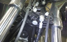 KAWASAKI Z900 2024 Z1F