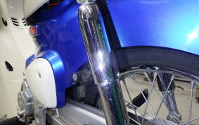 HONDA C110 SUPER CUB 2021 JA44