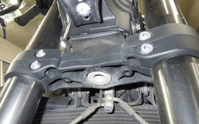 TRIUMPH STREET TRIPLE RS 2021