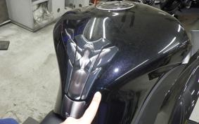 KAWASAKI NINJA 1000 2019 ZXT00W