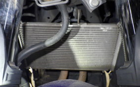 YAMAHA YZF-R25 2021 RG10J