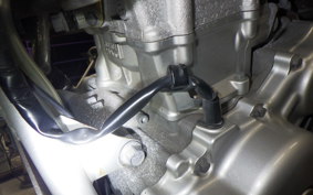 YAMAHA WR250R 2022 DG15J