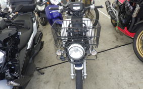 HONDA C110 SUPER CUB 2021 JA10