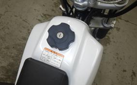 YAMAHA TW225 2025 DG09J