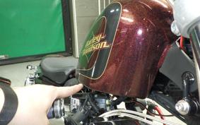 HARLEY XL1200V 2013