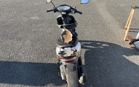 HONDA DIO