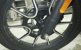 OTHER ENFIELD メテオ350 2022