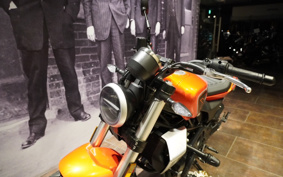 HARLEY  HARLEY X350 2024 W3C