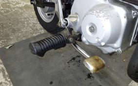 HONDA MONKEY 2026 Z50J
