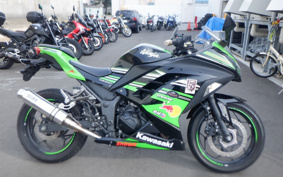 KAWASAKI NINJA 250 EX250L
