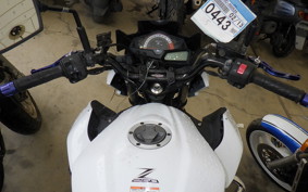 KAWASAKI Z250 ER250C