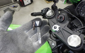 KAWASAKI NINJA ZX-6R A 2021 ZX636G
