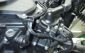 KAWASAKI ELIMINATOR400-3 2023 EL400A