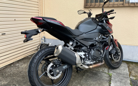 KAWASAKI Z250 ABS EX250P