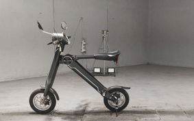 OTHER  BLAZE  SMART EV ..