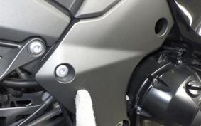 KAWASAKI NINJA 1000 A 2021 ZXT00W