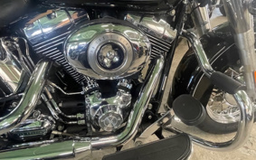 HARLEY HARLEY FLSTC 2009 BW5