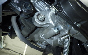 HONDA TACT Basket 2015 AF79