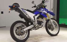 YAMAHA WR250R 2023 DG15J