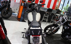 HARLEY FXLRS 2024 YWZ