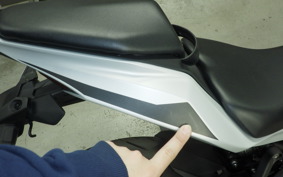 KAWASAKI ZX-4R SE 2025