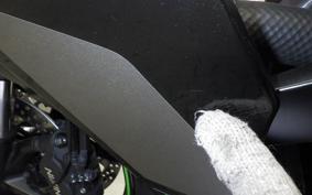 KAWASAKI NINJA ZX-6R A 2024 ZX636J