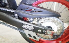 YAMAHA WR250X 2013 DG15J