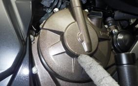 SUZUKI ｼﾞｸｻｰ250SF 2019