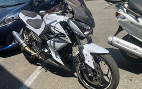 KAWASAKI Z250 ER250C