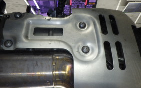 OTHER +HD. ﾊﾟﾝ AMERICA1250S 2018