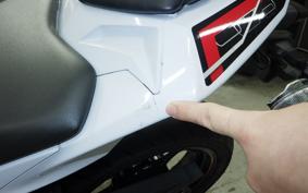 KAWASAKI NINJA 250 ABS EX250L