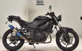 KAWASAKI NINJA 250R 2023 EX250K