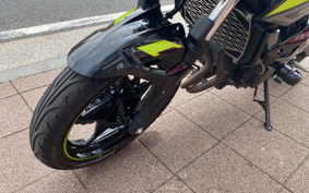 KAWASAKI Z250 EX250P